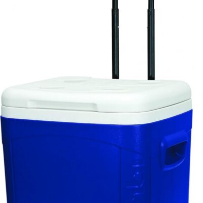 Igloo Profile Cooler box picnic